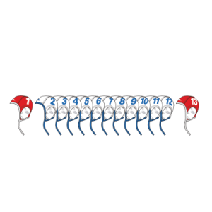 SET WATERPOLO CAPS CLASSIC 13 UNITS (WHITE)