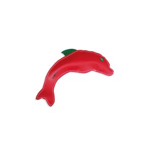 Canvas Dolphin
