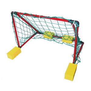 Mini Goal