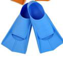 SHORT FINS